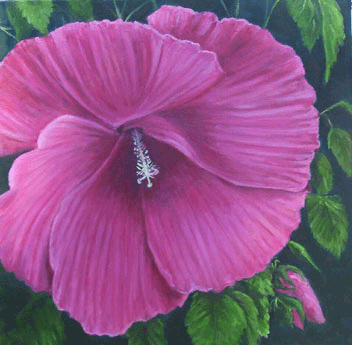 hibiscus.gif